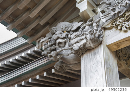 本龍寺(鎌倉市腰越) 49502236