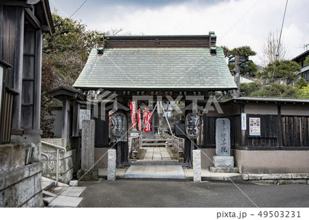 宝善院の宝善院薬医門（鎌倉市腰越） 49503231