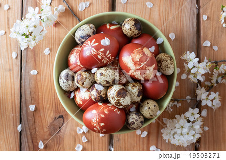 Easter eggs dyed with onion peels and quail eggs Easter eggs dyed with onion peels and quail eggs 49503271