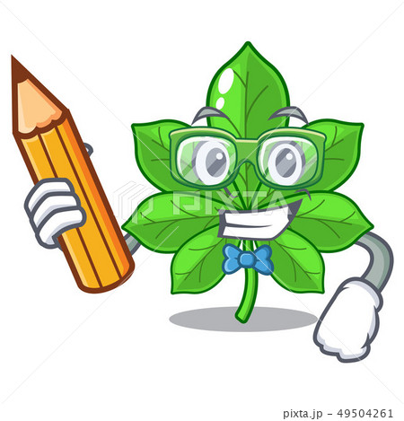 Student horse chestnuts in the character shape 49504261