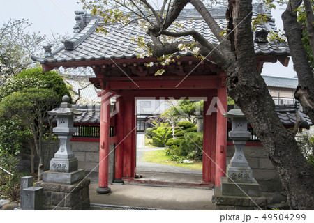 浄泉寺（鎌倉市腰越） 49504299