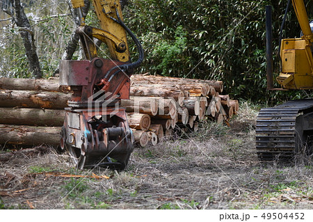 間伐材と重機 49504452