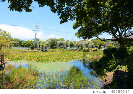風景 観光 風 49504514