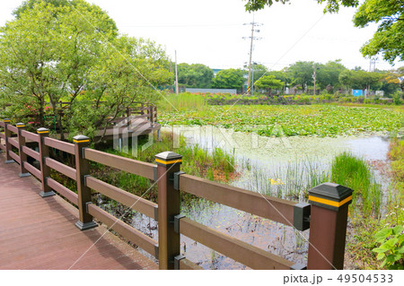 風景 観光 風 49504533