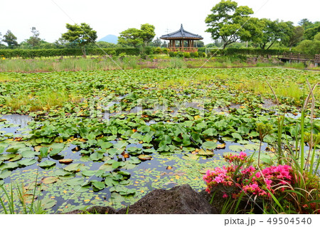 風景 観光 風 49504540