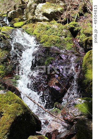 四万十川上流 激流 四万十川上流 激流 49504815