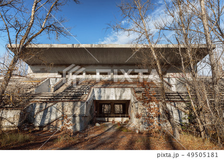 Forest reclaiming the Zone, in Chernobyl 49505181