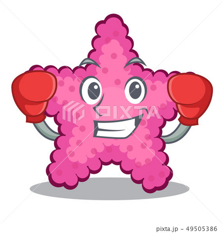 Boxing pink starfish isolated with the cartoon 49505386
