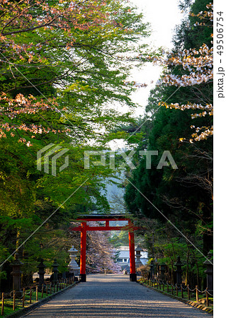 霧島神宮　鹿児島県霧島市　ニニギノミコト 49506754