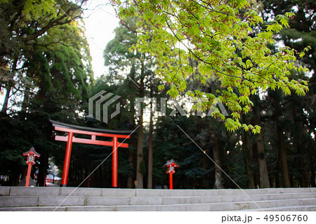 霧島神宮　鹿児島県霧島市　ニニギノミコト 49506760