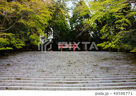 霧島神宮　鹿児島県霧島市　ニニギノミコト 49506771