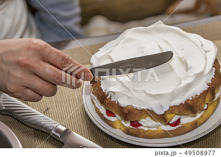 【手作りケーキ】 49508977