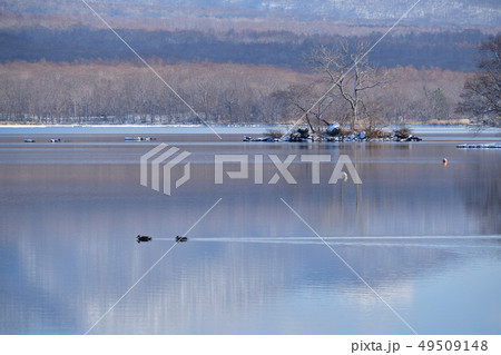 早春の北海道七飯町大沼公園の穏やかな大沼の水面の風景を撮影 早春の北海道七飯町大沼公園の穏やかな大沼の水面の風景を撮影 49509148