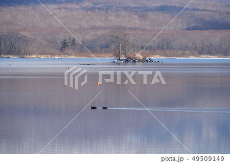 早春の北海道七飯町大沼公園の穏やかな大沼の水面の風景を撮影 早春の北海道七飯町大沼公園の穏やかな大沼の水面の風景を撮影 49509149