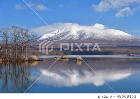 早春の北海道七飯町大沼公園の穏やかな大沼の水面の風景を撮影 49509153