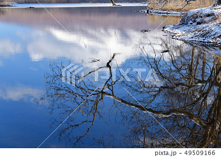 早春の北海道七飯町大沼公園の穏やかな大沼の水面の風景を撮影 49509166