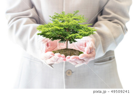 Sustainable eco friendly business investment Sustainable eco friendly business investment 49509241