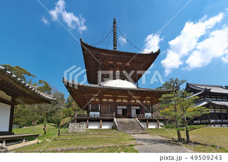 【根来寺 大塔】 (高解像度版) 和歌山県岩出市根来2286 【根来寺 大塔】 (高解像度版) 和歌山県岩出市根来2286 49509243