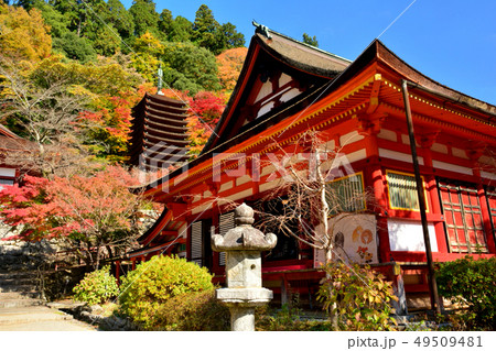 談山神社 十三重塔と末社惣社拝殿 談山神社 十三重塔と末社惣社拝殿 49509481