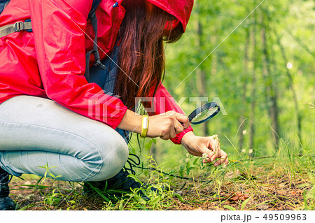 Picture of girl with magnifying glass 49509963