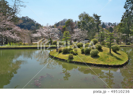 【根来寺 聖天池】 和歌山県岩出市根来2286 【根来寺 聖天池】 和歌山県岩出市根来2286 49510236