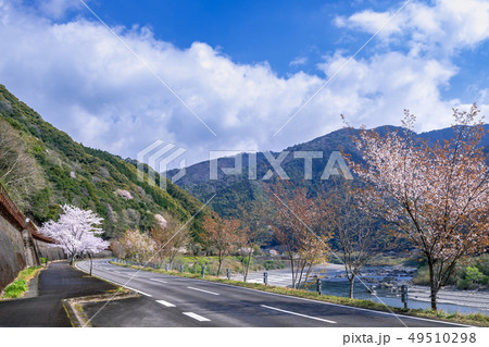 春の四万十 49510298