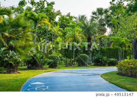 Footpath in Public Park 49513147