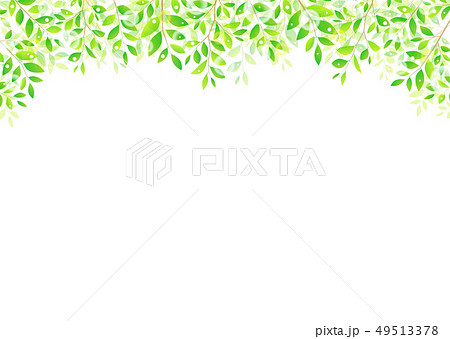 背景素材 木の葉 若葉 青葉 新緑のイラスト素材