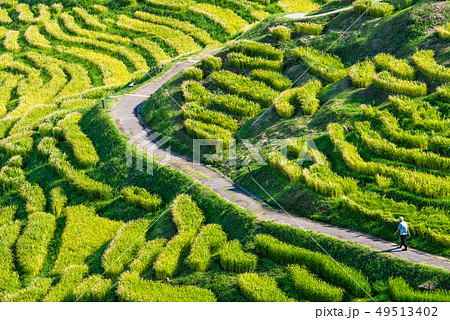 白米千枚田 白米千枚田 49513402