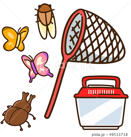 Hand drawn cute bug catcher, insect collecting net artwork 20148084 Vector  Art at Vecteezy