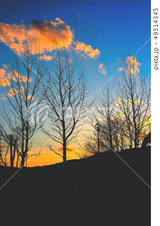 夕焼け雲 49514345