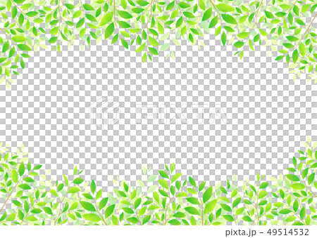 背景材料_木葉若葉青葉鮮綠 49514532