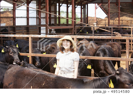 牛舎で働く女性の写真素材