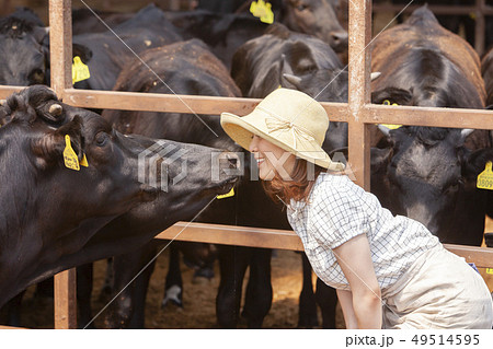 牛舎で働く女性 49514595