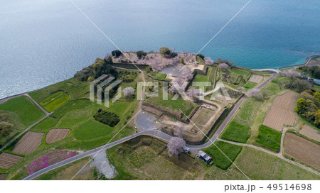 原城跡　空撮　春の桜 49514698