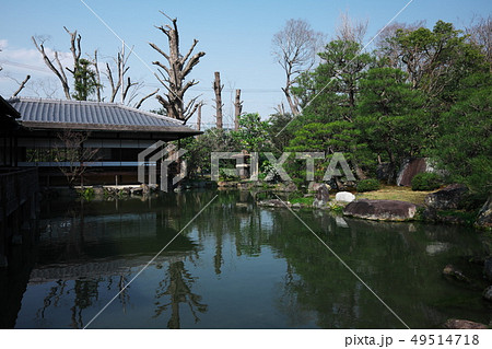 渉成園の滴翠軒と臨池亭 49514718