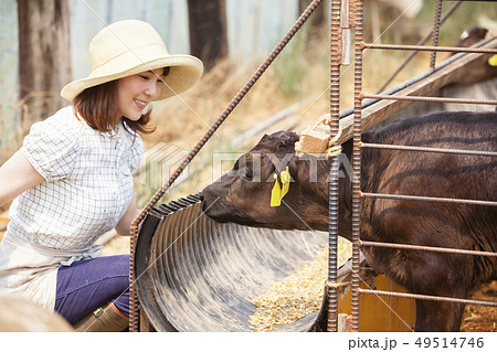 畜産業の女性 49514746