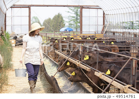 畜産業の女性 49514761