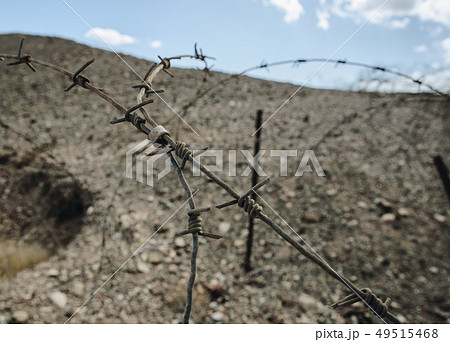 Metal rusty barbed wire in Israel. 49515468