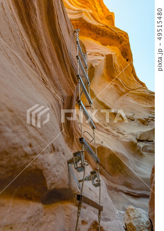 Metal ladder attached to rocks in Red Canyon. 49515480