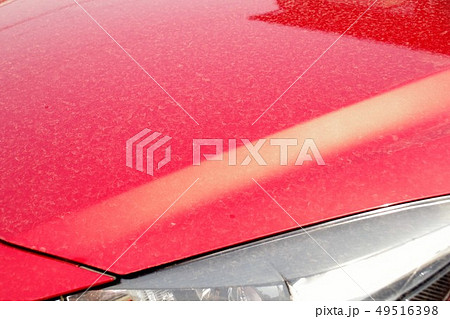 黄砂で汚れた車　汚れたボディ 49516398