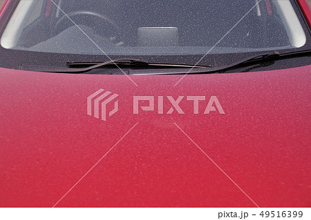 黄砂で汚れた車 黄砂で汚れた車 49516399