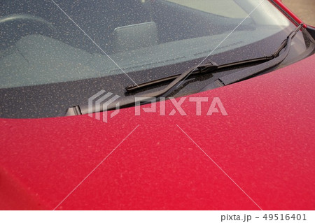 黄砂で汚れた車 49516401