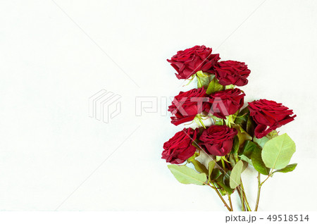 Beautiful bouquet of roses 49518514