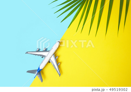 Model plane airplane or plane and tropical green palm leaves on yellow and blue background. Model plane airplane or plane and tropical green palm leaves on yellow and blue background. 49519302