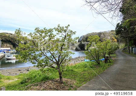 油壺 油壺 49519658