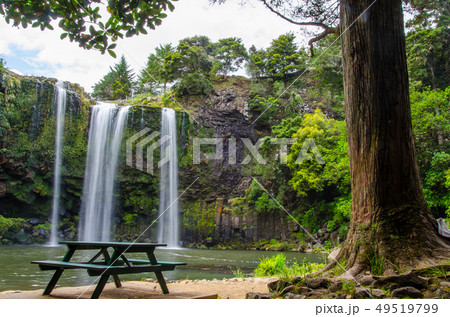 Whangarei Falls on long exposure with tree and bench in the foreground 49519799