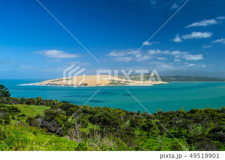 Pakia Hill lookout with blue sea and blue sky above, Northland, North Island, New Zealand 49519901