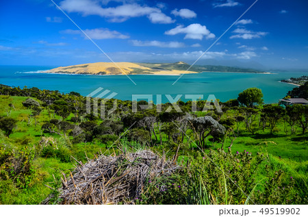 Pakia Hill lookout with blue sea and blue sky above, Northland, North Island, New Zealand Pakia Hill lookout with blue sea and blue sky above, Northland, North Island, New Zealand 49519902