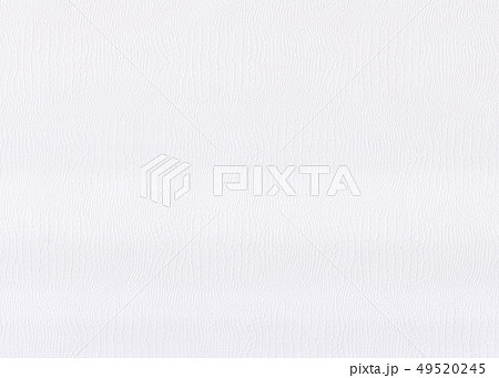 snake leather white paper texture snake leather white paper texture 49520245
